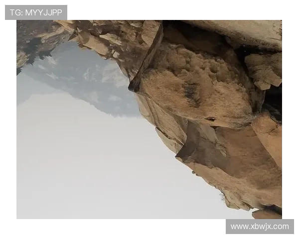 杨敏独家分享攀岩技巧与心得体会助你征服每一座高峰