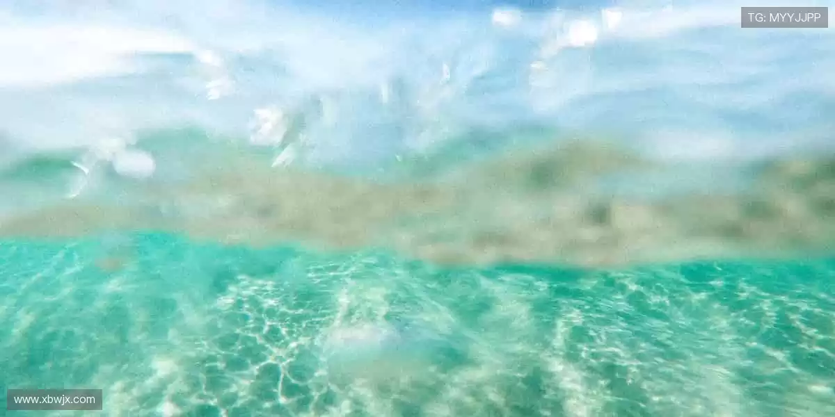 💻高清直播,身临其境!📡